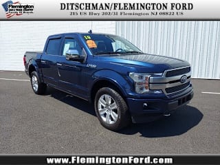 2019 Ford F-150 Platinum 1FTEW1E45KFB27266 2019 Ford F-150 Platinum