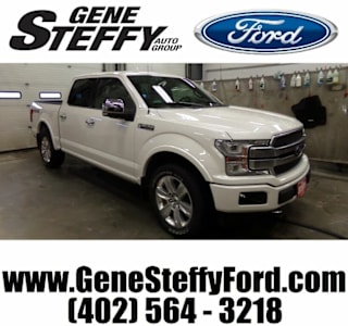 2019 Ford F-150 Platinum 1FTEW1E45KFA43495 2019 Ford F-150 Platinum