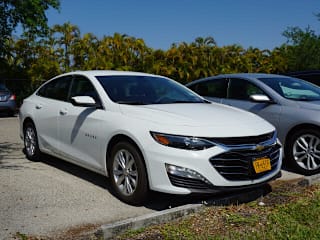 2019 Chevrolet Malibu 1G1ZD5ST3KF176629 2019 Chevrolet Malibu