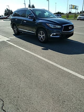 2020 Infiniti QX60 Luxe 5N1DL0MN6LC503819 2020 Infiniti QX60 Luxe