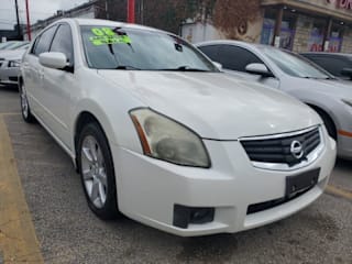 2008 Nissan Maxima 3.5 SE 1N4BA41E68C828397 2008 Nissan Maxima 3.5 SE