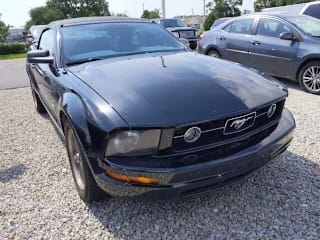 2006 Ford Mustang 1ZVHT84N465255886 2006 Ford Mustang