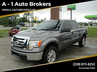 2010 Ford F-150 XLT 1FTEW1E80AFA14956 2010 Ford F-150 XLT